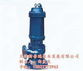 斯普瑞泵业公司 图 专业污水泵生产厂家 徐州专业污水泵高清图片 高清大图